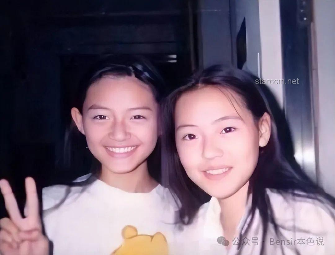 雅安纪委监委回应女星百万耳环事件，揭开真相面纱
